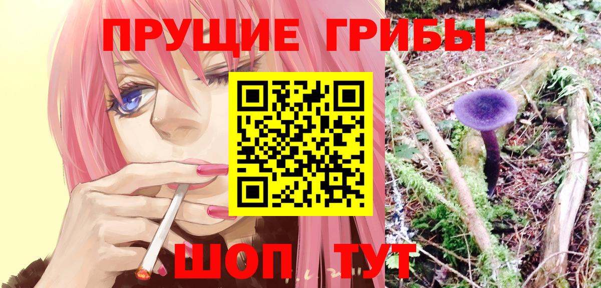 Псилоцибиновые грибы Psilocybe Барабинск