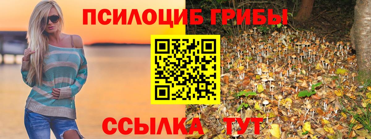 Галлюциногенные грибы Psilocybine cubensis  Псилоцибиновые грибы прущие грибы  Вход с VPN  Барабинск 